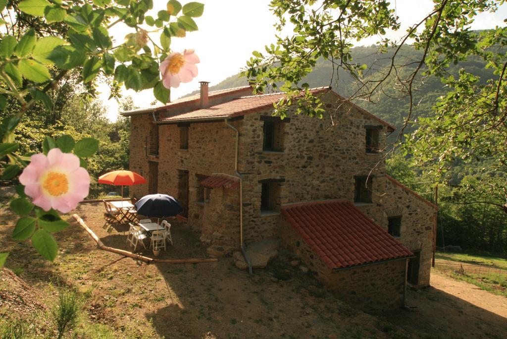 Chambres D'Hotes Mas La Tardosse Prats-de-Mollo-la-Preste Bilik gambar