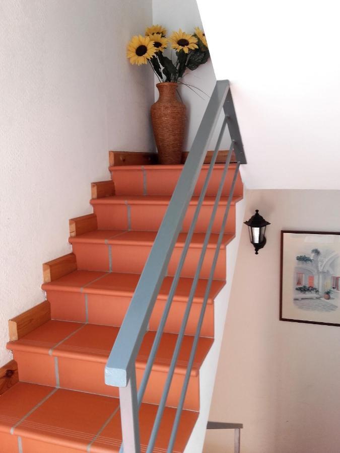Chambres D'Hotes Mas La Tardosse Prats-de-Mollo-la-Preste Luaran gambar